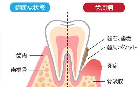 さまざまな角度から複数の治療をご提案し、患者さんに選択していただきます